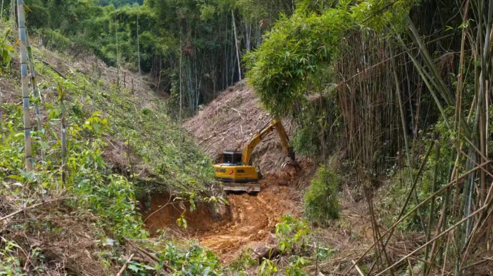 林間“藏龍”，竹?！芭P虎”——徐工林業(yè)挖機廣西俠客行